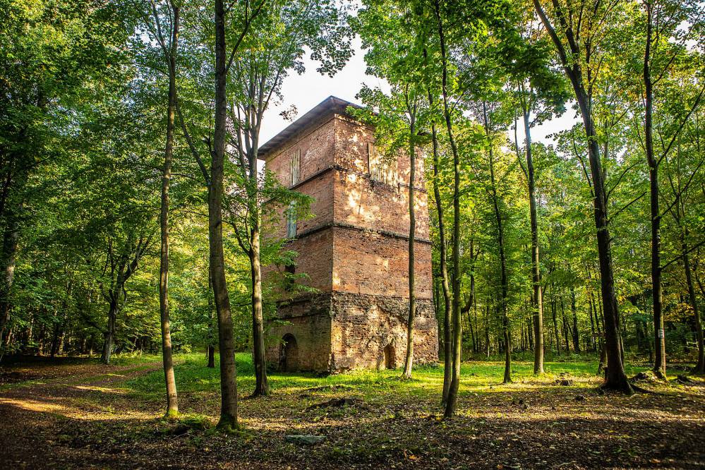 gichta waleska palowice