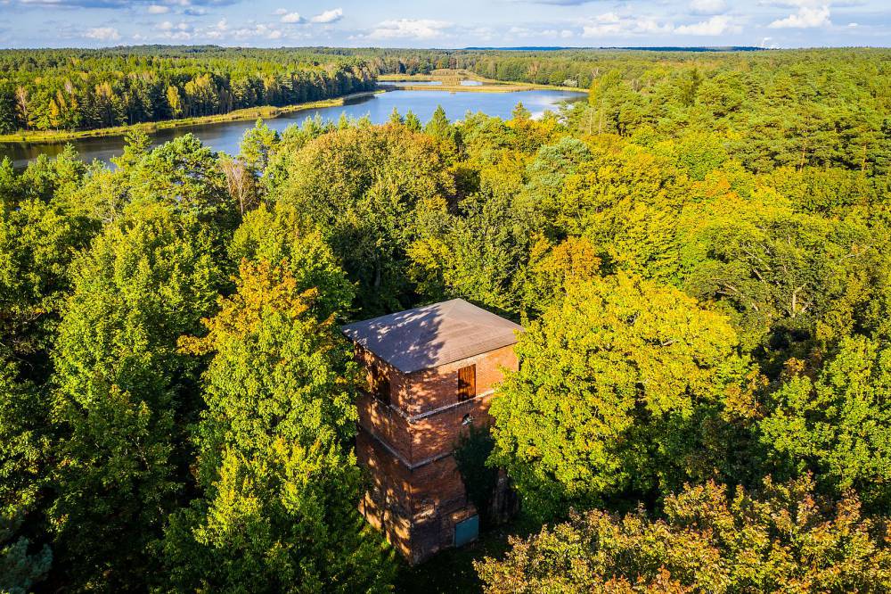 gichta waleska w palowicach